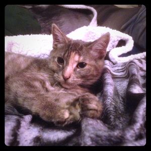 Meet your Posher, Amanda